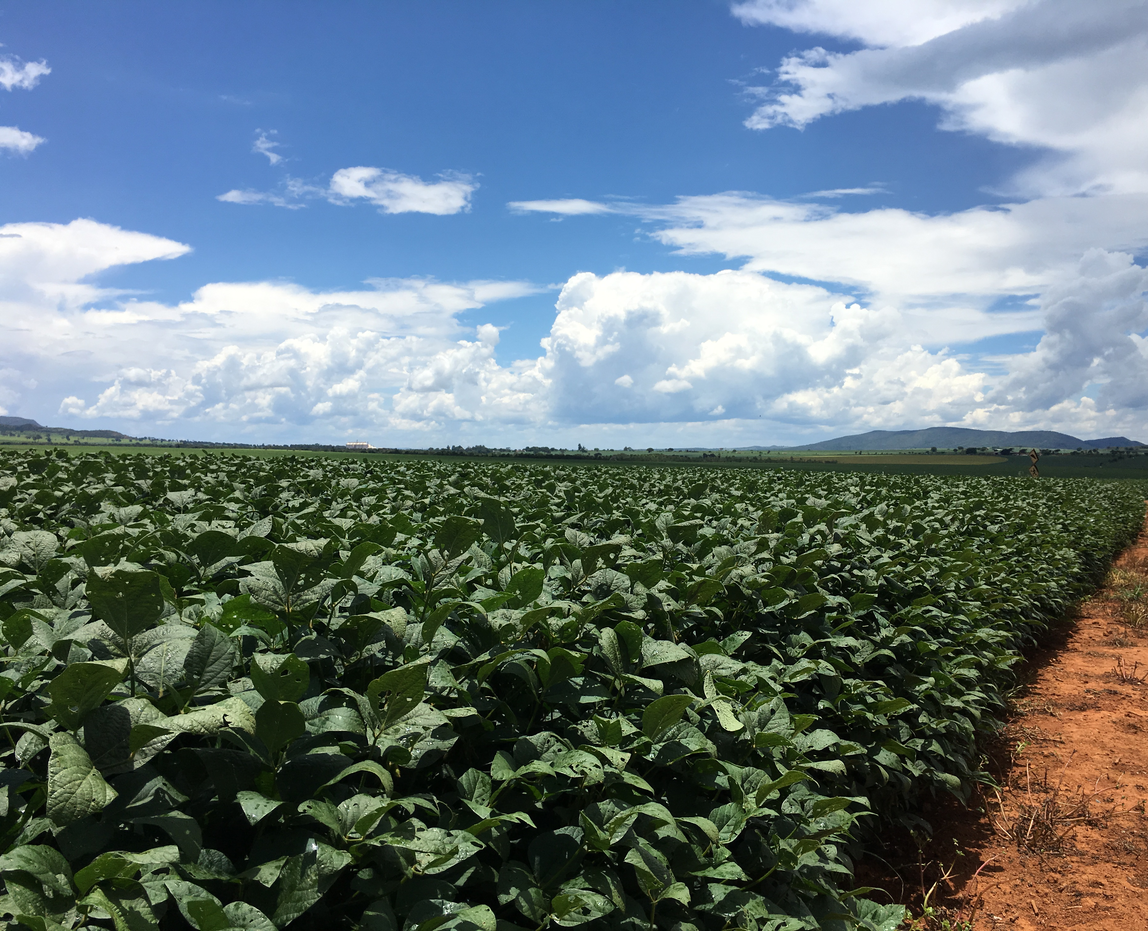 USDA INFORMA NOVIDADES