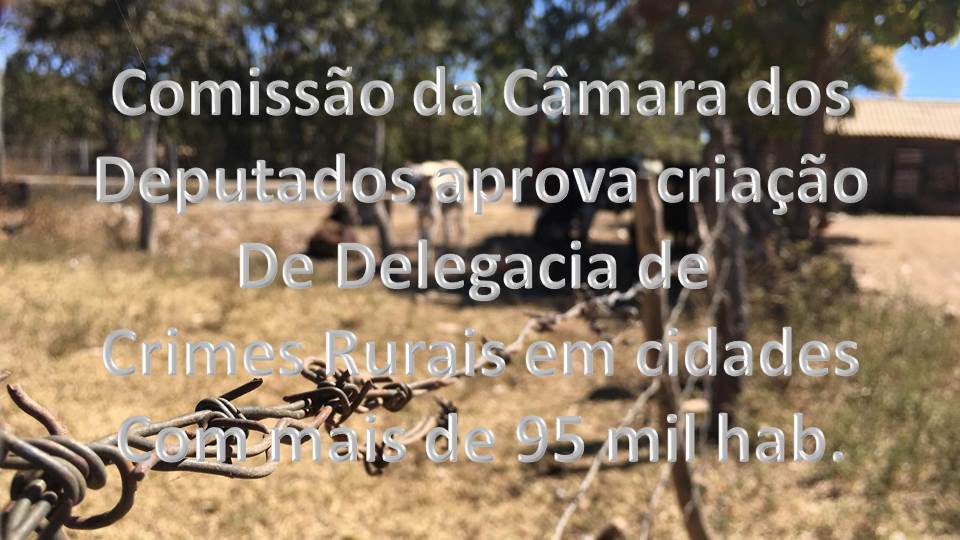 CRIMES RURAIS - comissão da câmara aprova criação de delegacia especializada em cidades com mais de 95 mil habitantes