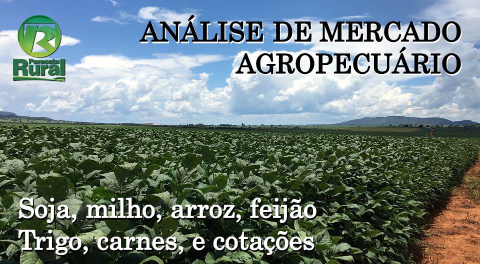 ANÁLISE DE MERCADO AGROPECUÁRIO 05-10-19