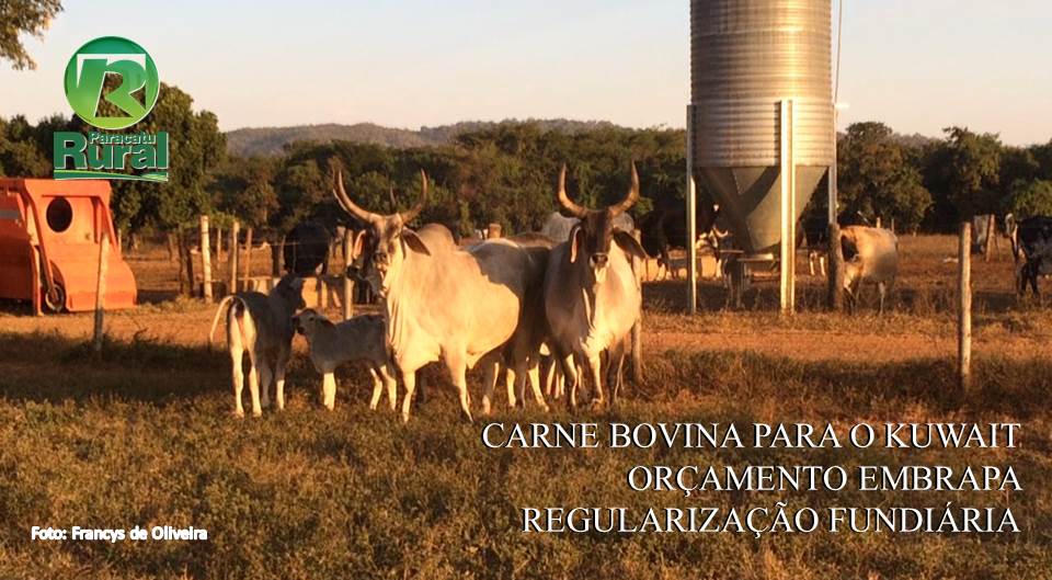 CARNE BOVINA PARA O KUWAIT - ORÇAMENTO EMBRAPA - REGULARIZAÇÃO FUNDIÁRIA