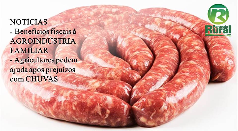 NOTÍCIAS SOBRE AGROINDÚSTRIA FAMILIAR E PREJUÍZOS COM AS CHUVAS