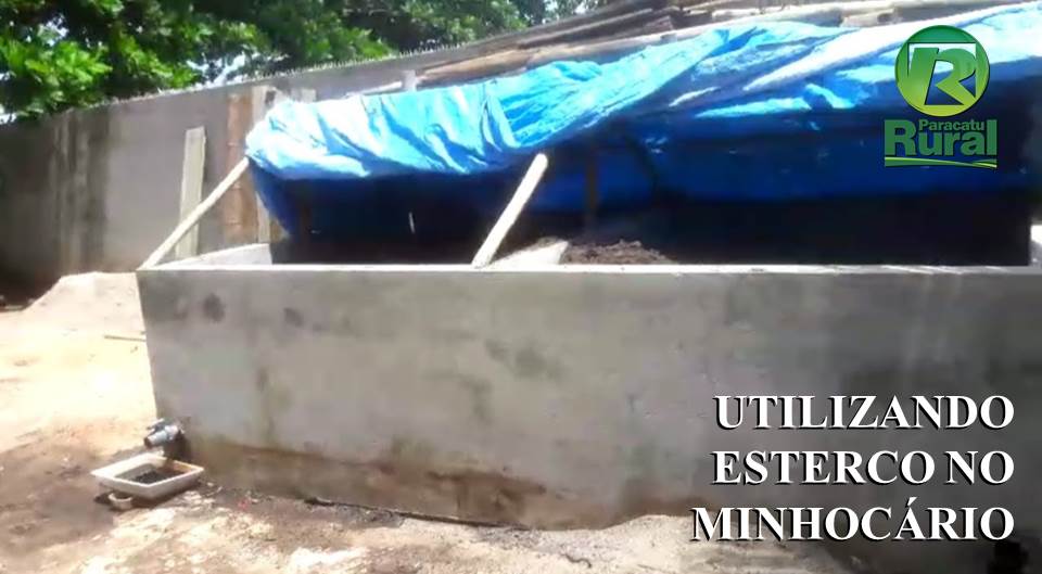 Posso adicionar ESTERCO no MINHOCÁRIO?