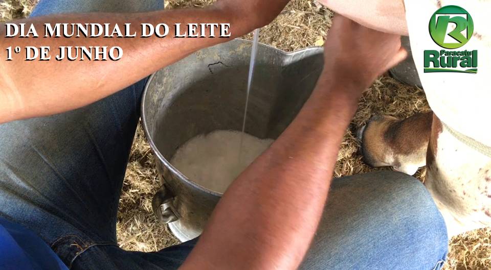 Dia Mundial do Leite - 1º de junho