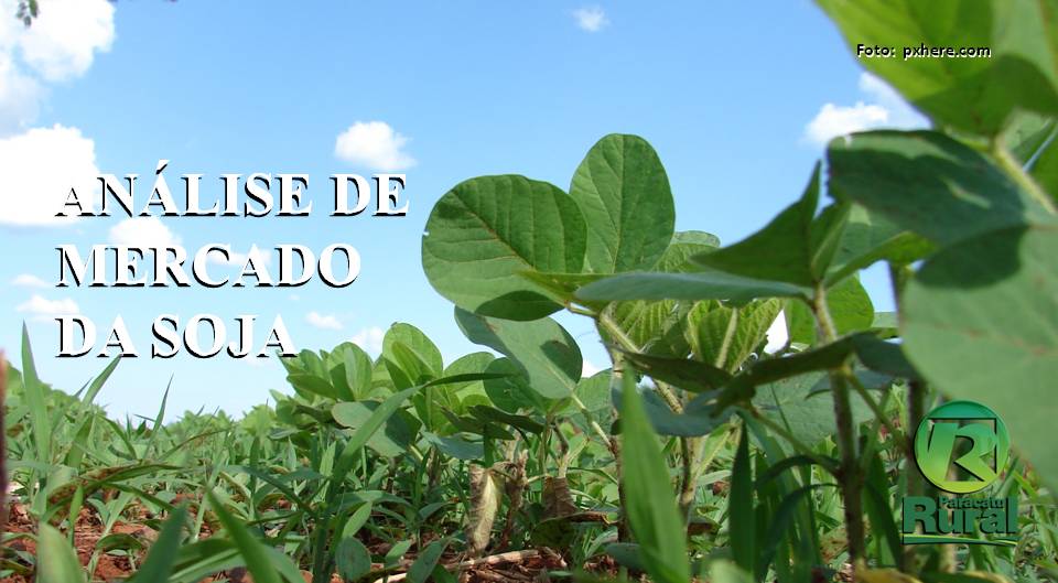Soja - Análise de Mercado - 15-07-2020
