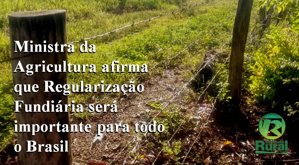 Ministra da Agricultura afirma que Regularização Fundiária será importante para todo o Brasil