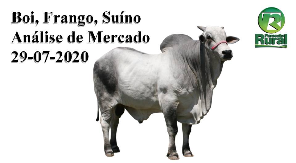 Boi, Frango, Suíno - Análise de Mercado - 29-07-2020