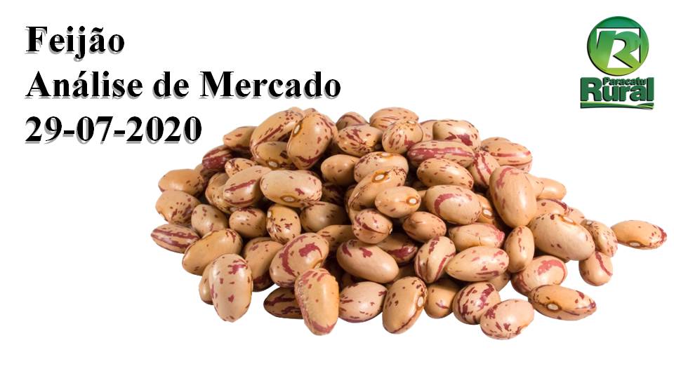 Feijão - Análise de Mercado - 29-07-2020