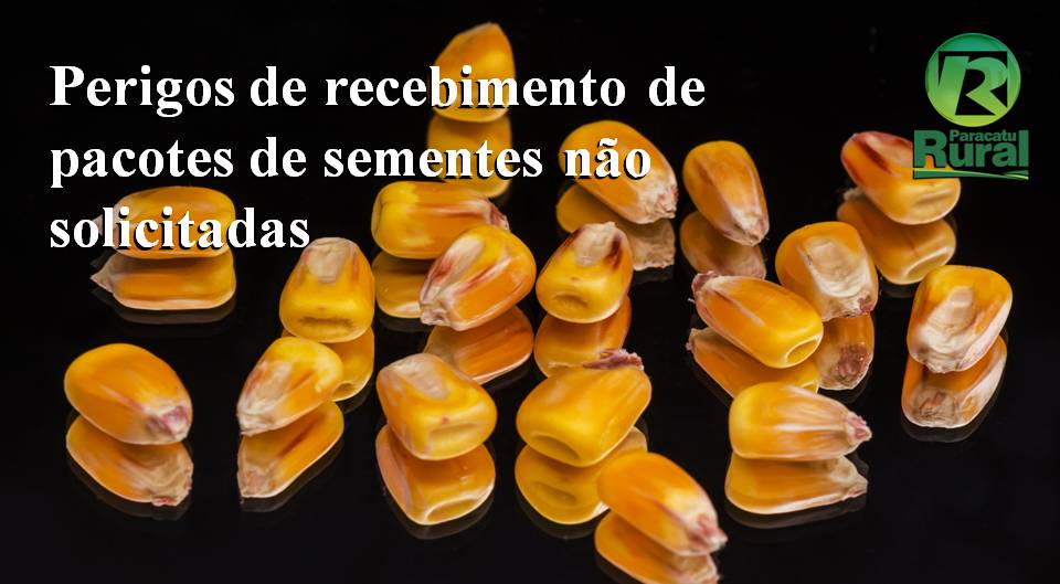 Mapa alerta sobre perigos de recebimento de pacotes de sementes não solicitadas