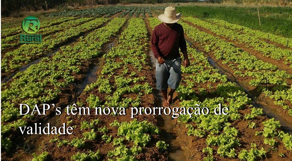 DAP’s têm nova prorrogação de validade