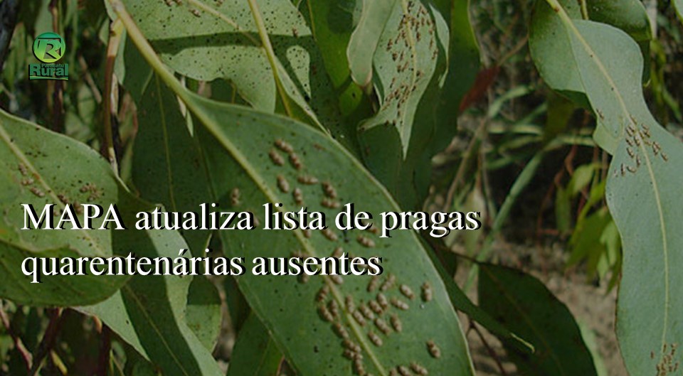 Mapa atualiza lista de pragas quarentenárias ausentes