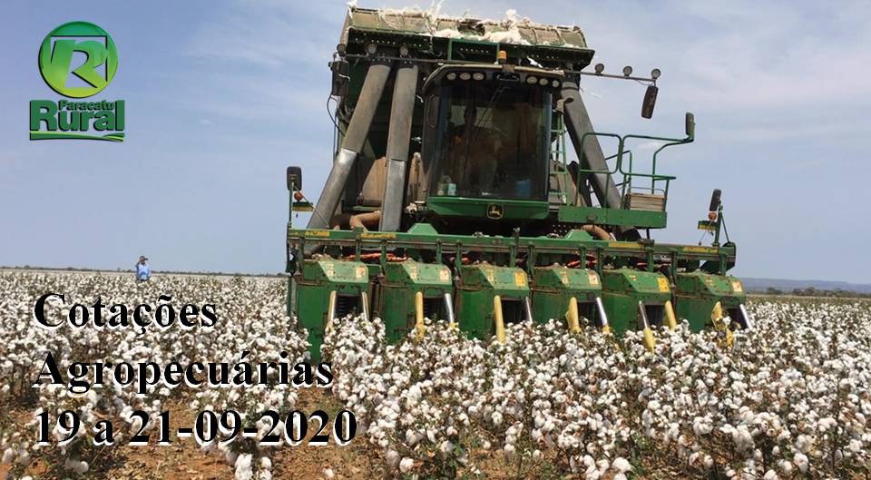 Cotações Agropecuárias - 19 a 21-09-2020