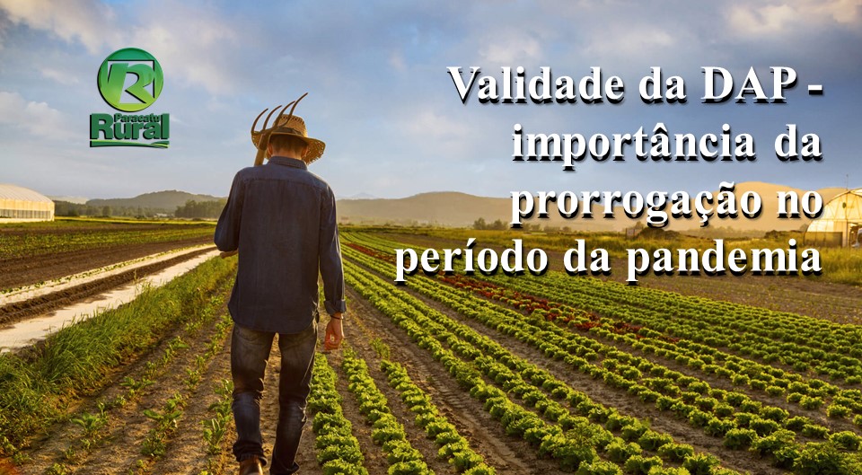 Validade da DAP - importância da prorrogação no período da pandemia