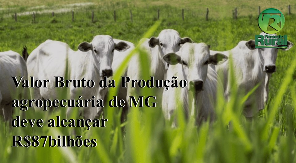 Valor Bruto da Produção agropecuária de MG deve alcançar R$87bilhões