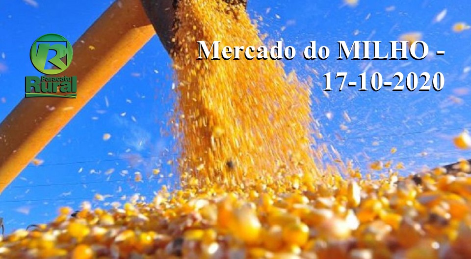 Mercado do MILHO - 17 - 10 - 2020