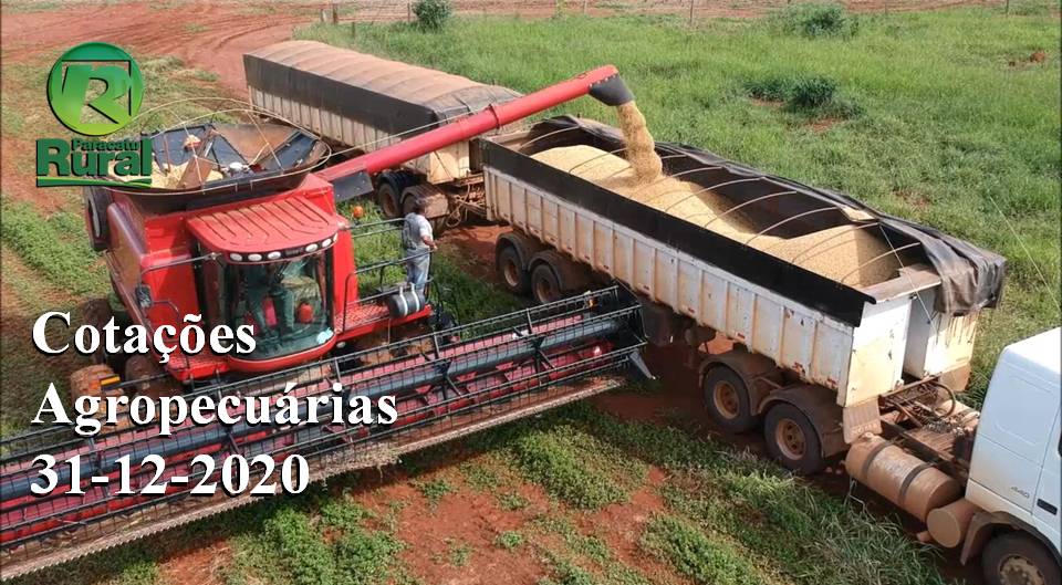 Cotações Agropecuárias - 31-12-2020