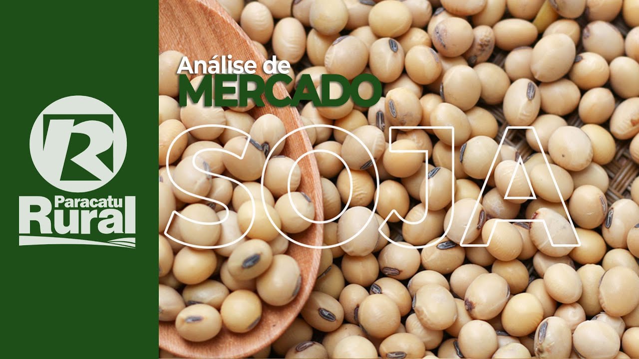 USDA aumenta safra brasileira de SOJA e mantém estoques americanos: um banho de água fria no mercado