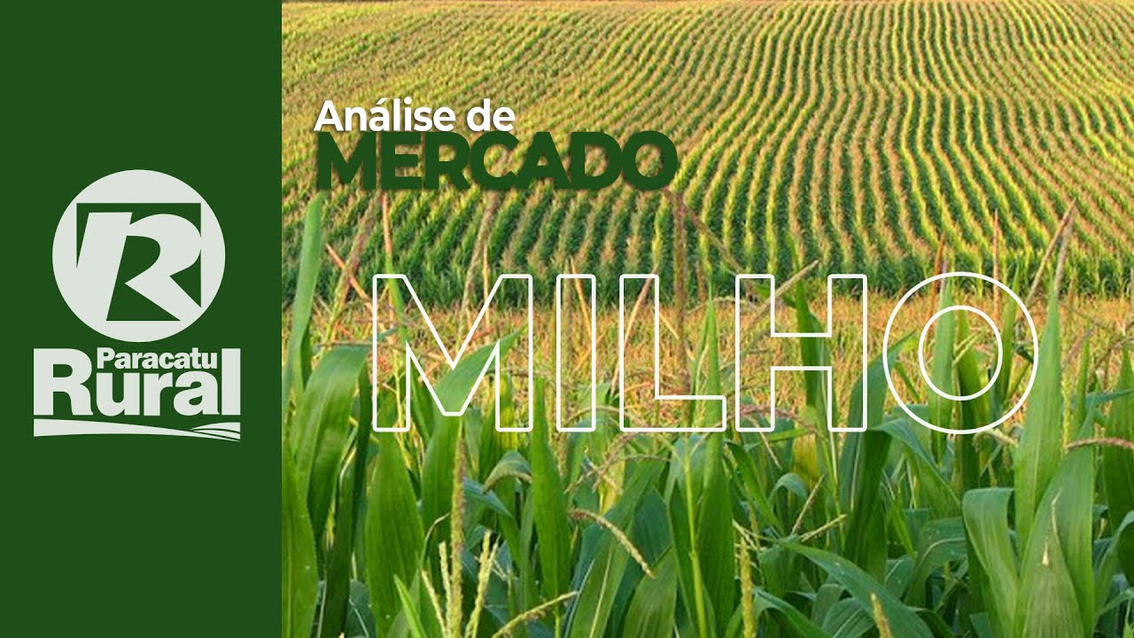 MERCADO DO MILHO - 27-02-2021