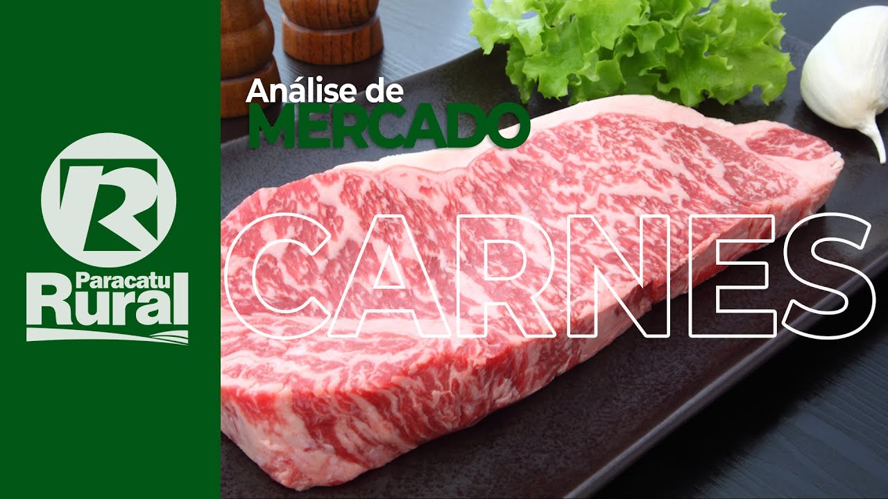 Mercado BOVINO apresenta preços maiores e pecuarista precisa repor rapidamente o gado leiteiro