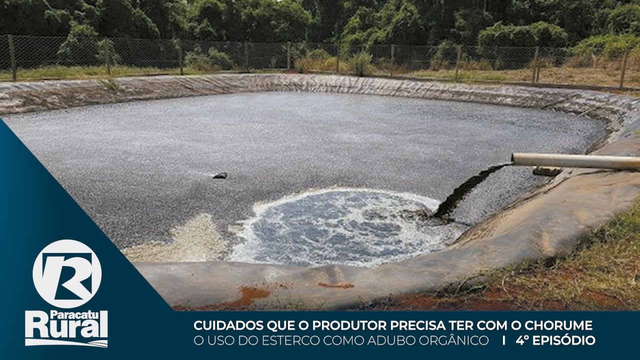 Cuidados que o produtor precisa ter com o CHORUME é o 4º episódio sobre "Uso do ESTERCO como Adubo"