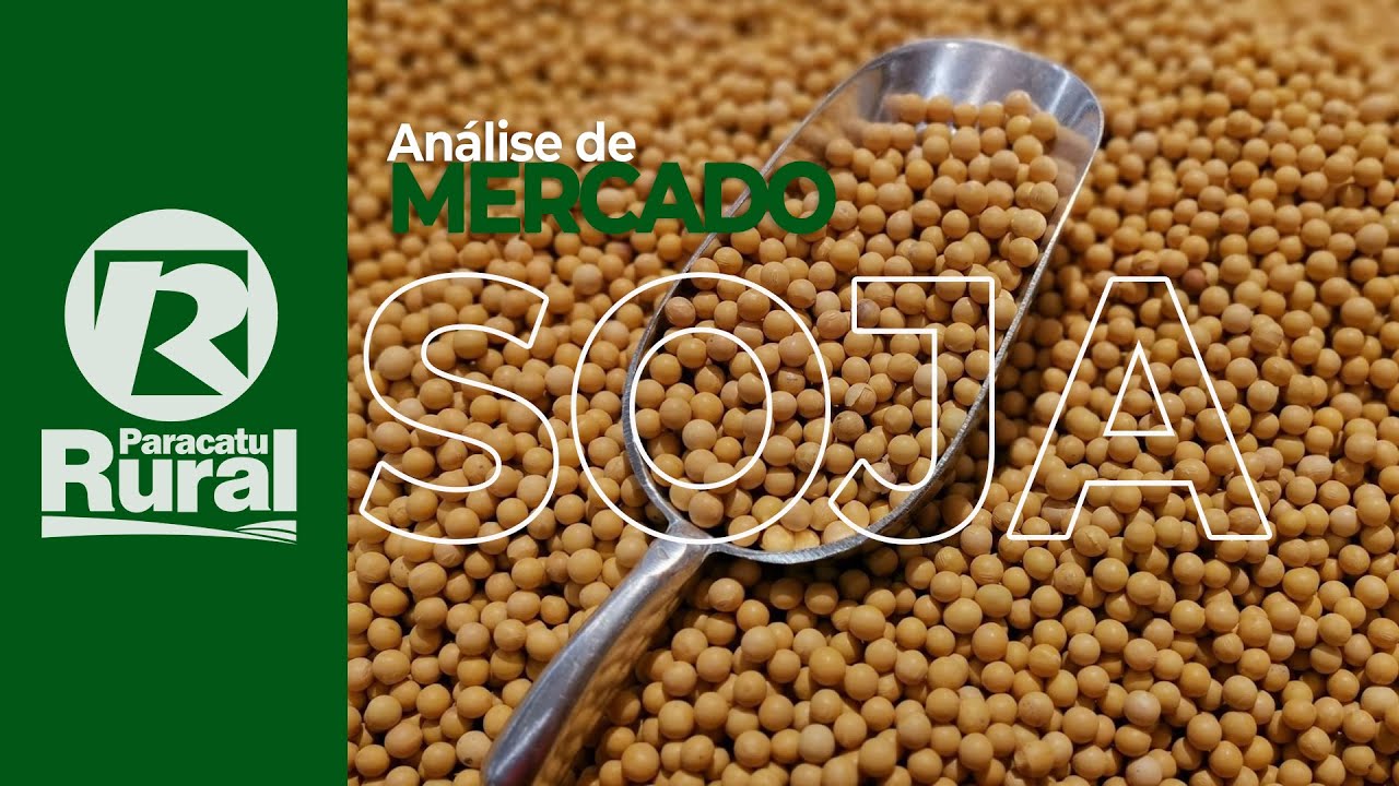 SOJA brasileira está com negócios escassos, mas a exportação tem pé no acelerador