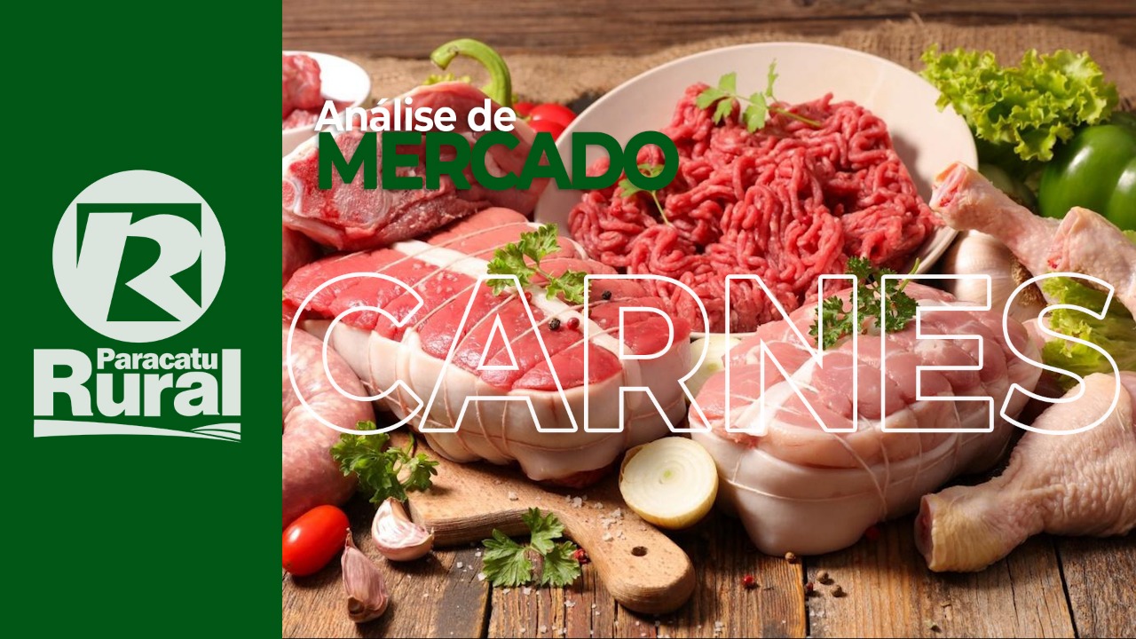Exportações do setor de carne continuam pressionadas e valorizadas