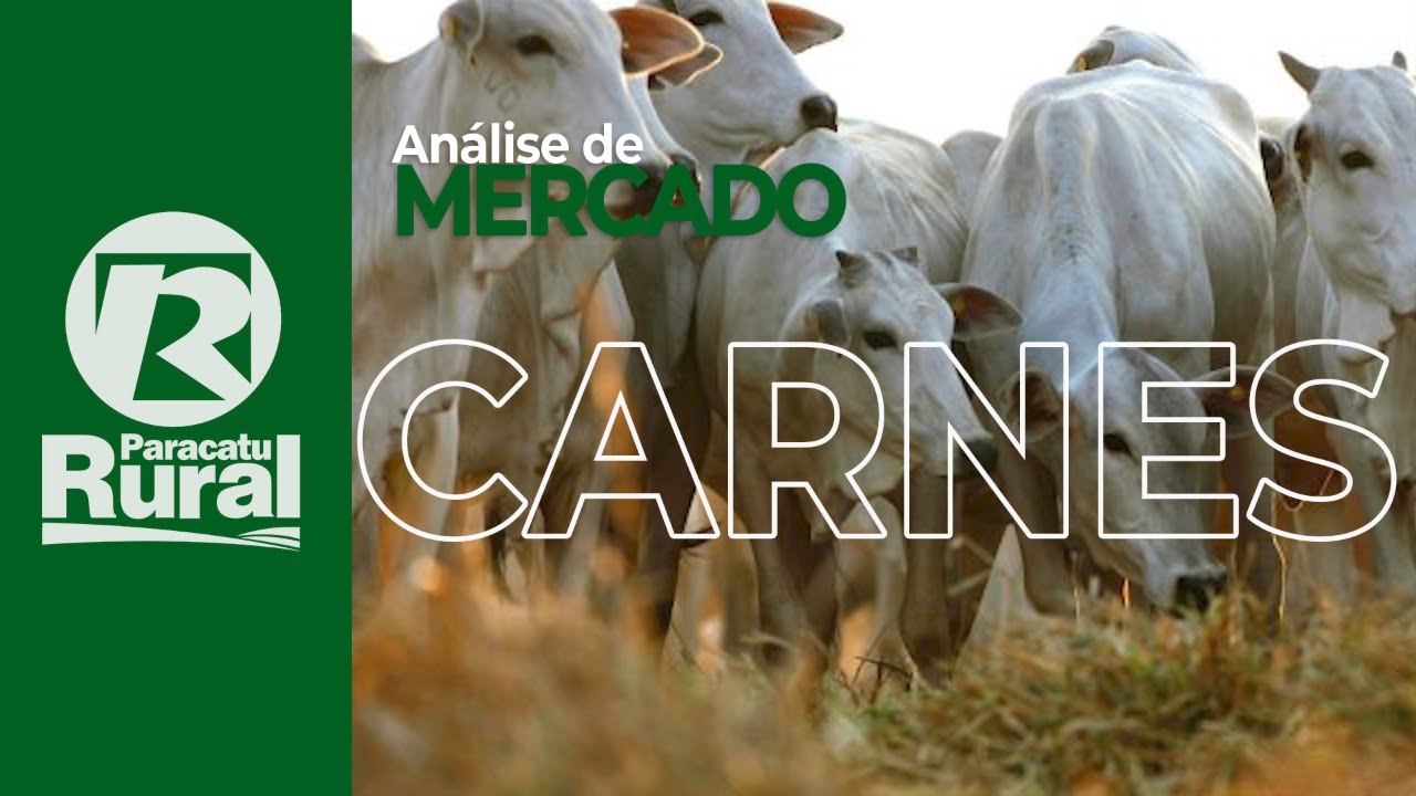 CARNES continua com embarques fortes. Geadas que pegaram pastagens, deve reduzir oferta de animais