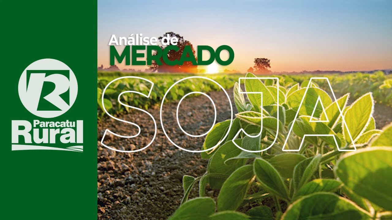 USDA aponta número menor de plantio da SOJA e cotações avançam. No Brasil, cotações também melhoram