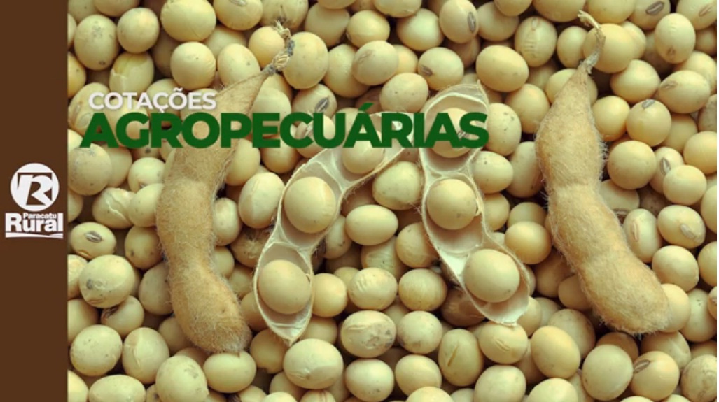 Cotações Agropecuárias 06-07-2021