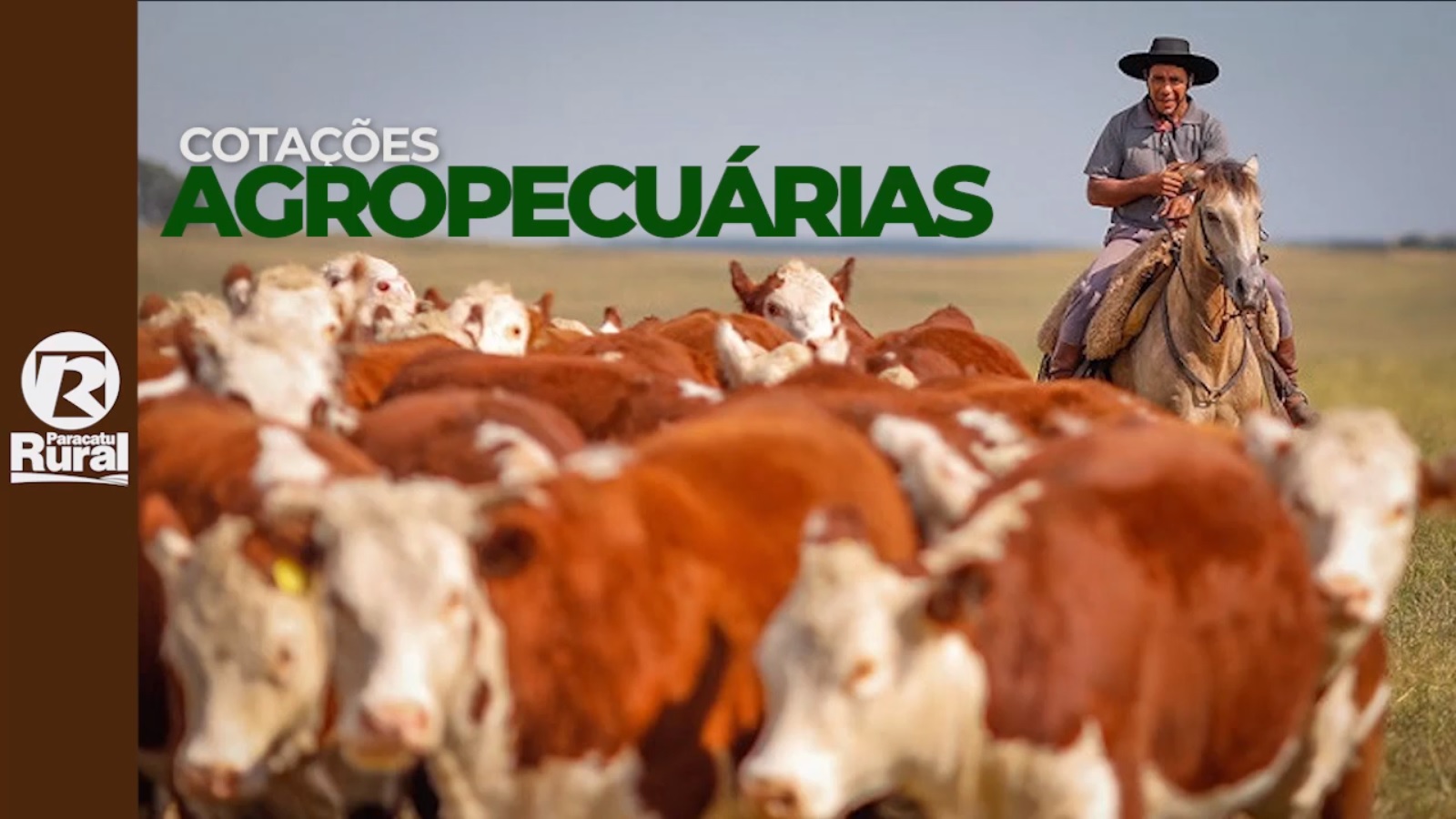Cotações Agropecuárias 30-07-2021