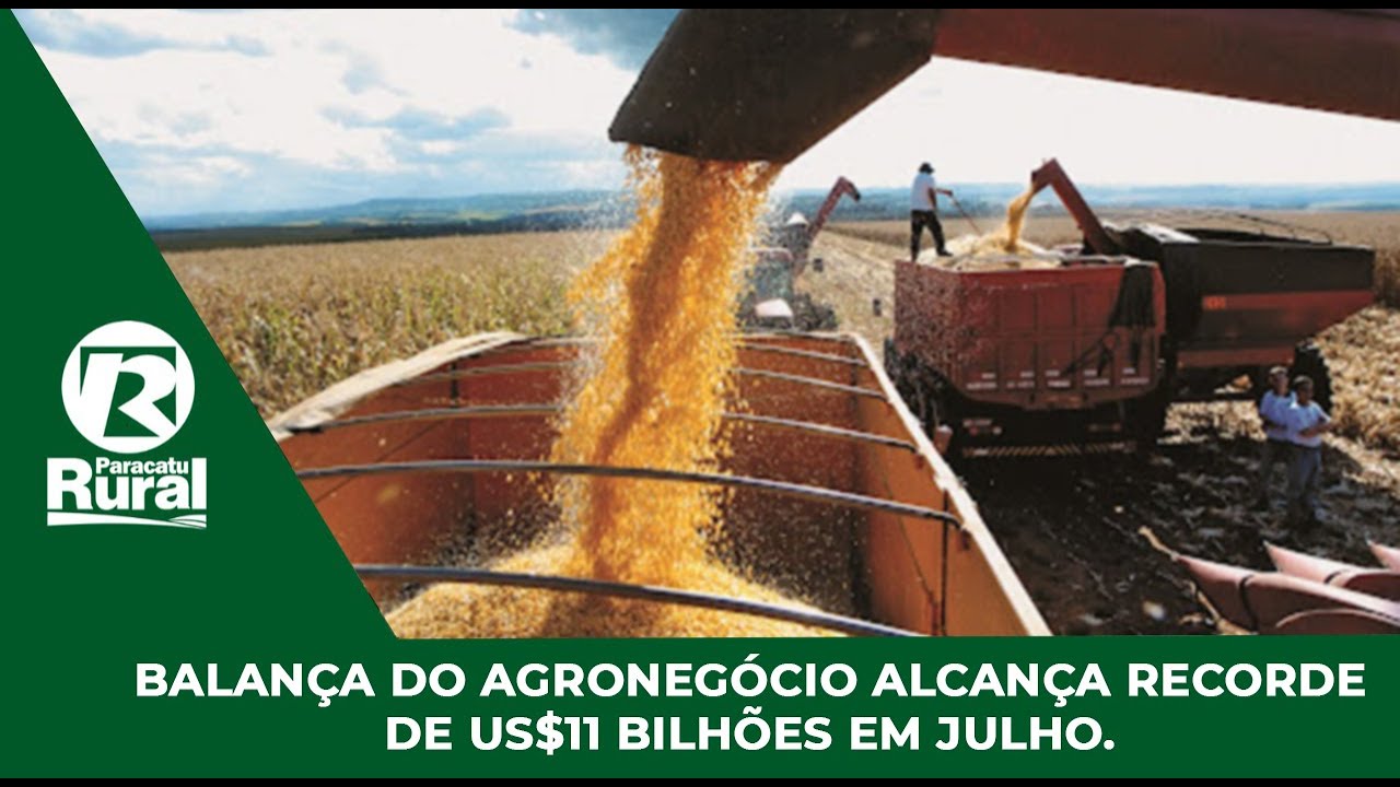 Balança do Agronegócio alcança Recorde de Us$11 Bilhões em julho.