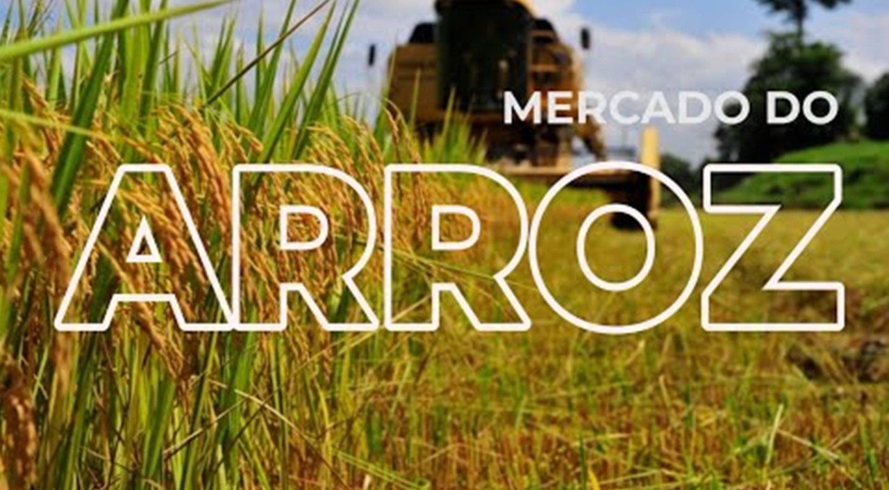 Mercado de ARROZ se acomoda essa semana, pois indústrias ainda não renovam os estoques