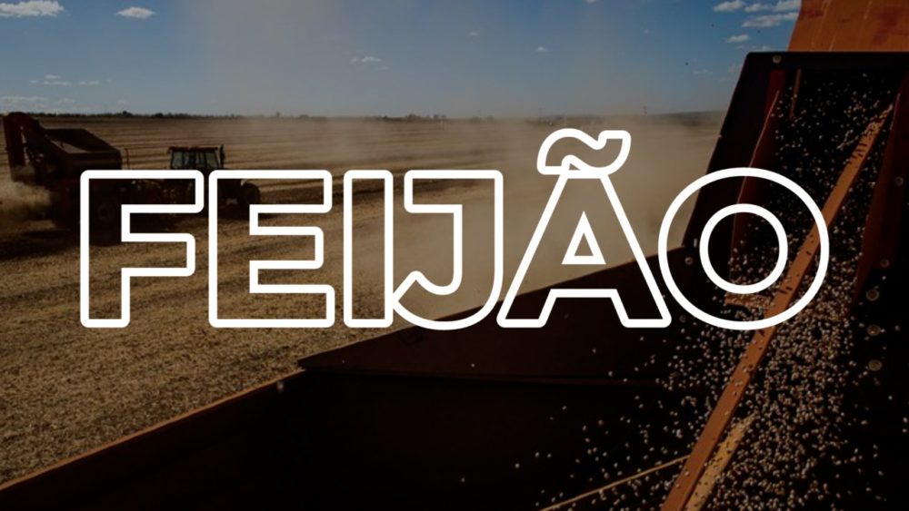 Mercado do FEIJÃO segue firme e mesmo com colheita da terceira safra, já tem pressão positiva