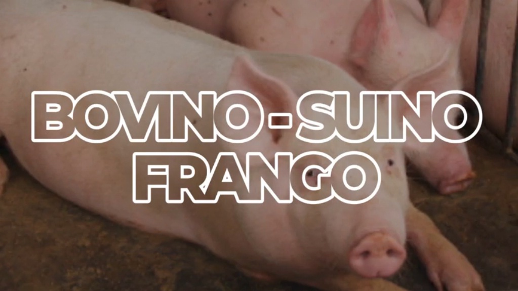 Mercado das CARNES tem boas notícias, pois teve o melhor mês da história para CARNE BOVINA.