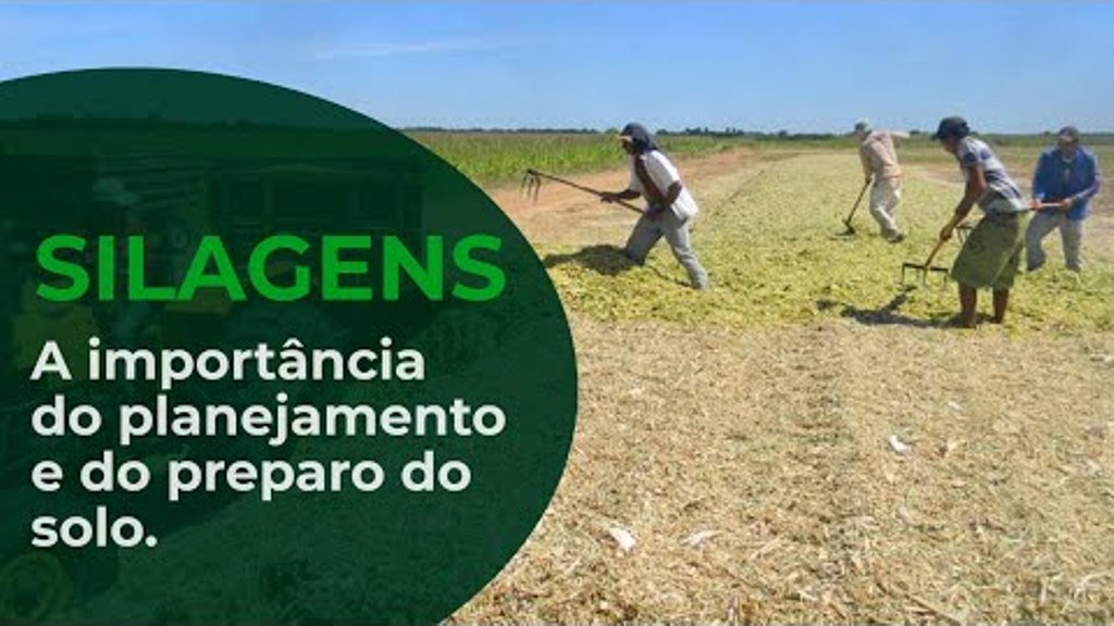 Silagens - onde não se pode errar? A importância do planejamento e do preparo do solo - Episódio 2
