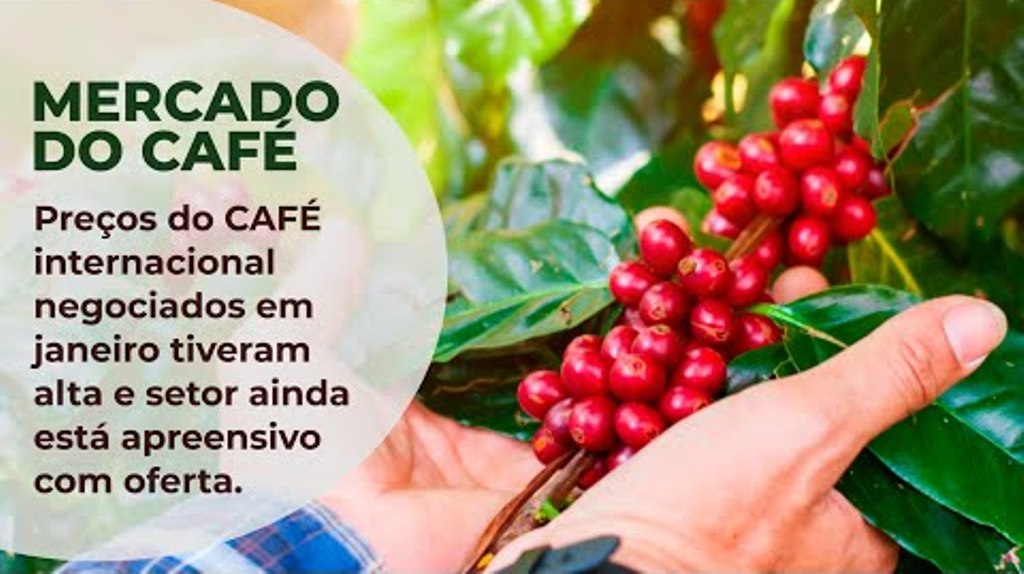 Preços do CAFÉ internacional negociados em janeiro tiveram alta e setor ainda está apreensivo