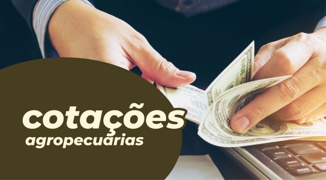 Mercado do milho tem queda. Cotações Agropecuárias com fechamento em 18-03-2022