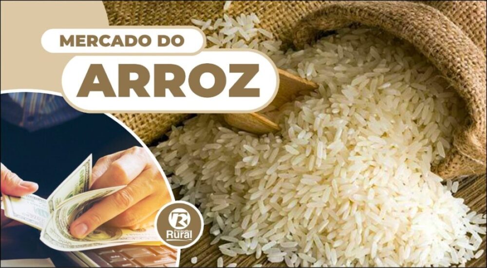 Mercado do ARROZ 02-03-2022