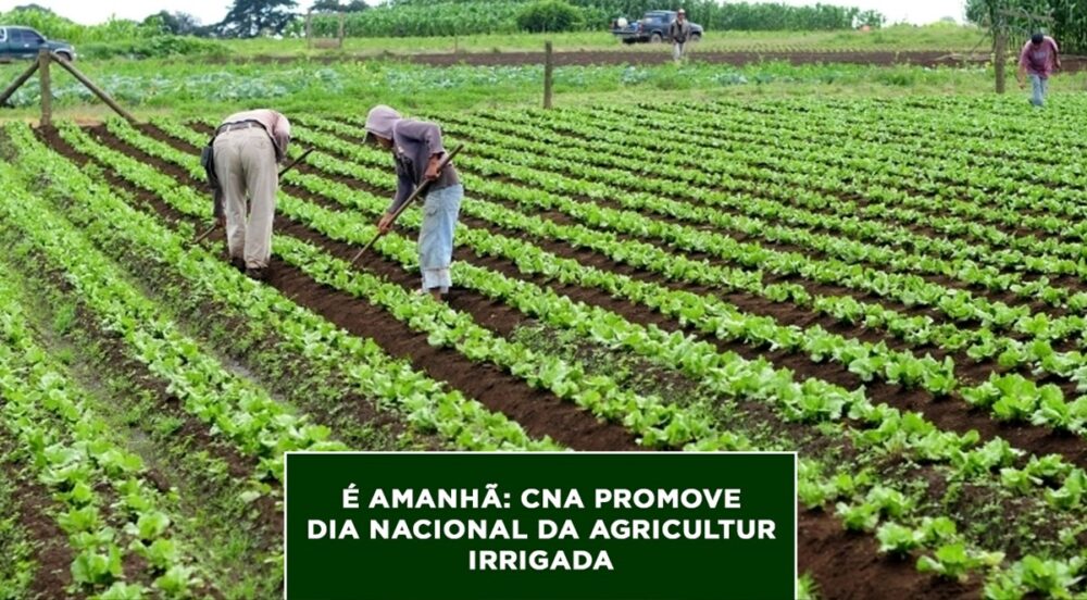 É amanhã: cna promove dia nacional da agricultura irrigada