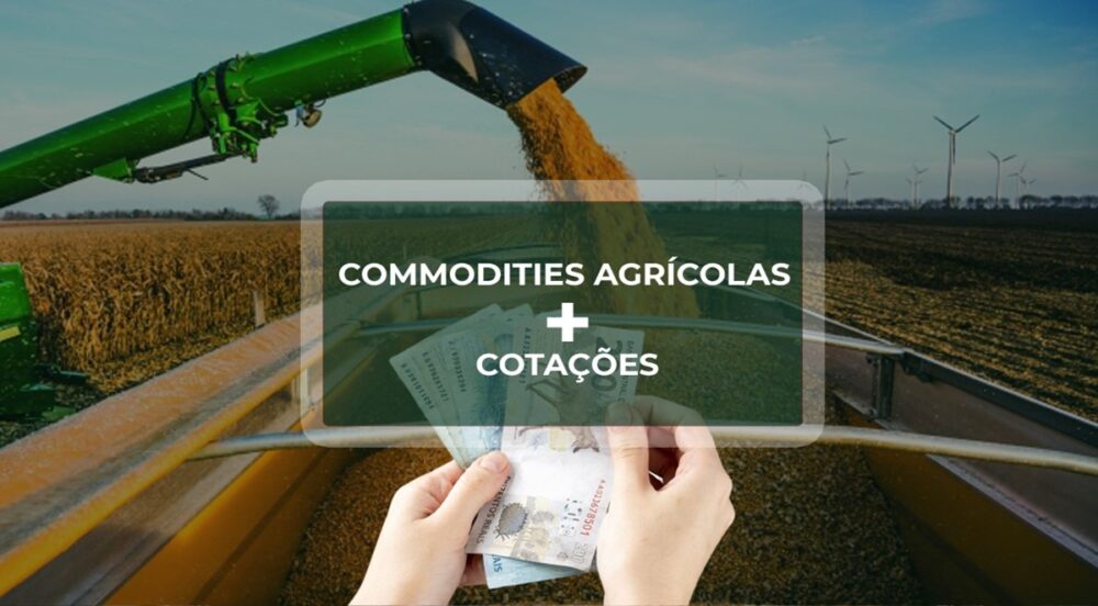 COMMODITIES AGRÍCOLAS: Super quarta-feira com queda no Café, Soja, Milho, e Petróleo. Já Trigo subiu