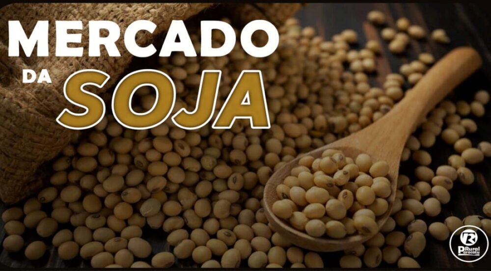 Produção mundial de soja irá aumentar, aponta relatório