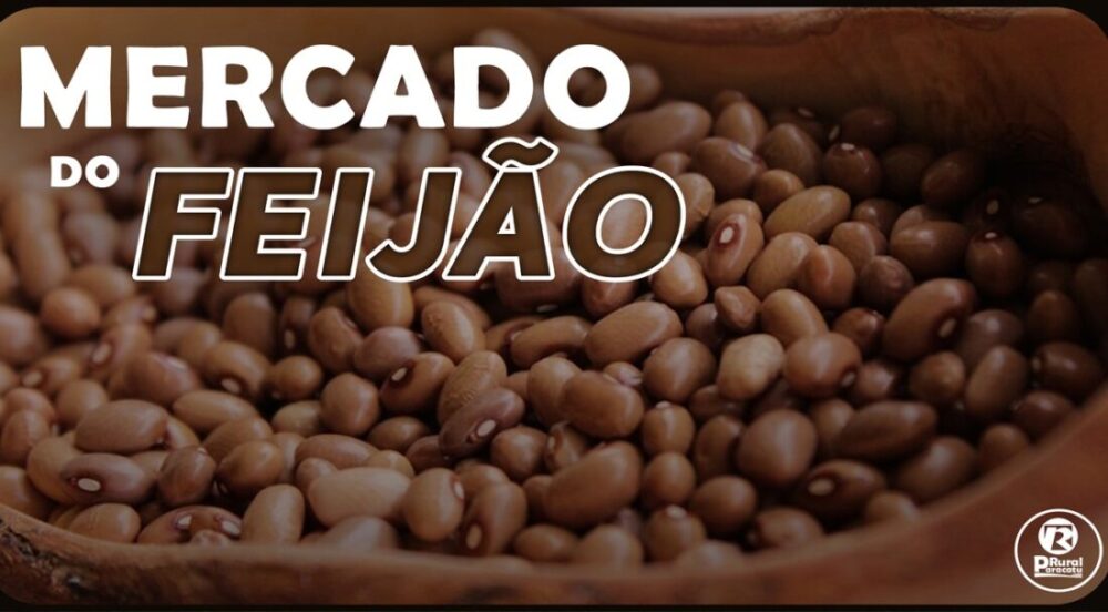 Mercado do feijão ganha fôlego para recuperação
