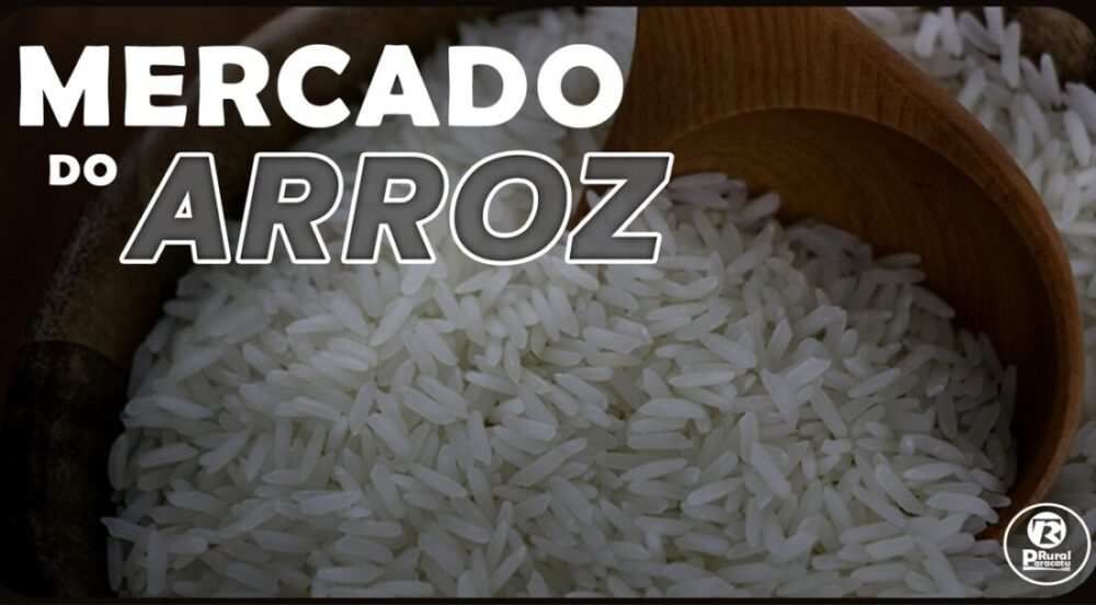 Exportações de arroz estão firmes; oferta doméstica pode seguir limitada 