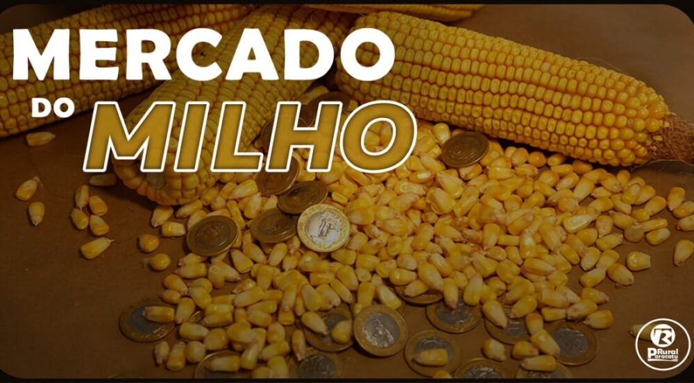 Números de exportação do MILHO maiores que a expectativa e ultrapassa as 6 milhões de toneladas.