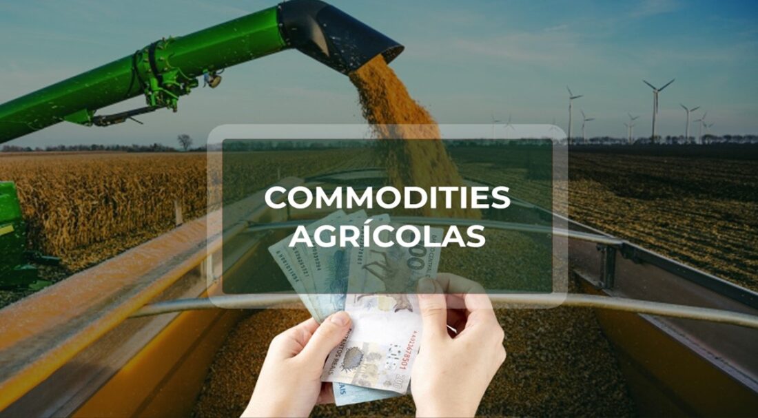 COMMODITIES: como foram os mercados do BOI GORDO e do MILHO em agosto?.