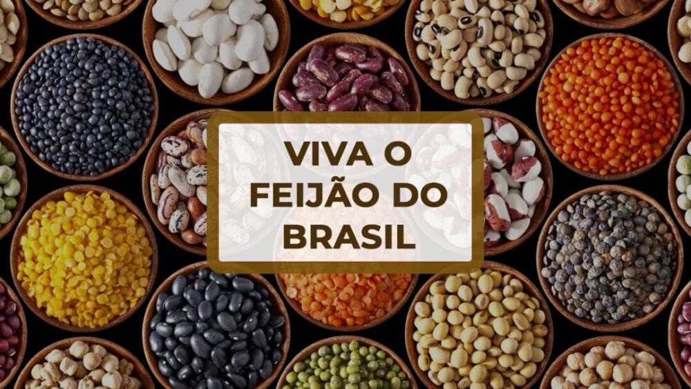 Importação de feijão preto aumenta; produtores seguem cautelosos