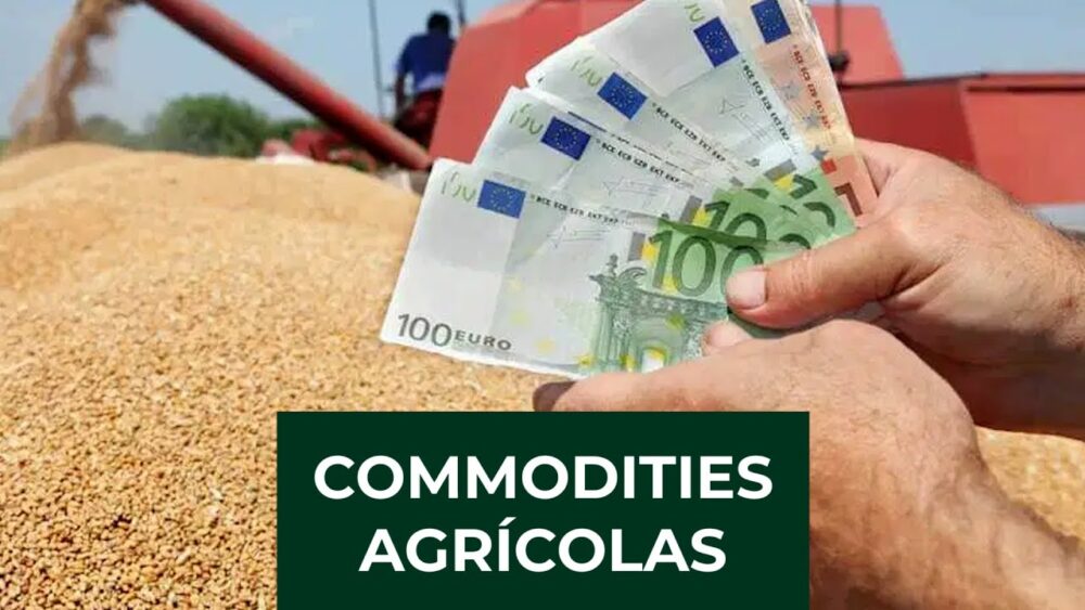 Mercado do milho: o que esperar para outubro?