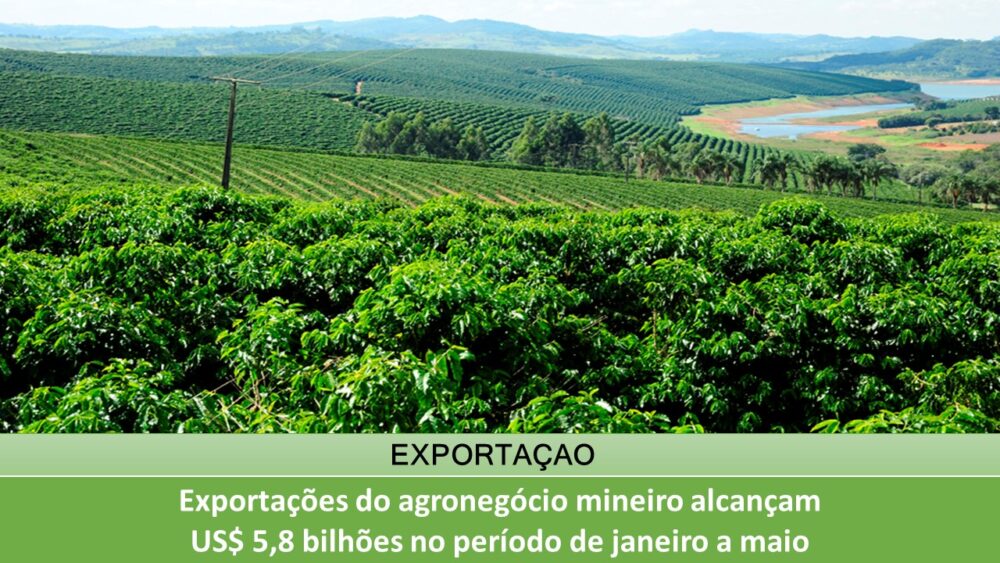 Exportações do agronegócio mineiro alcançam US$ 5,8 bilhões no período de janeiro a maio