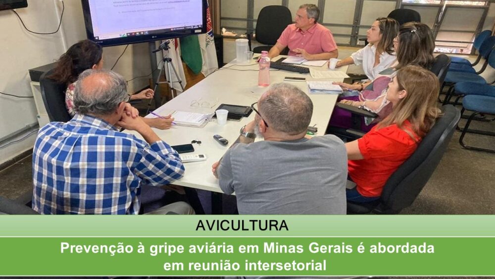 Prevenção à gripe aviária em Minas Gerais é abordada em reunião intersetorial