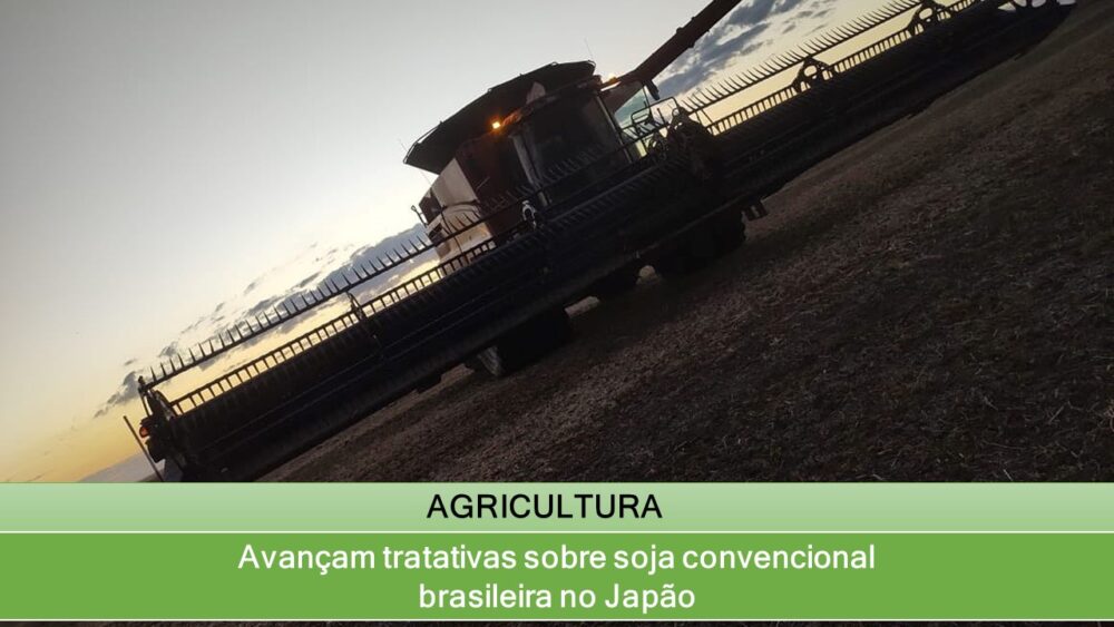 Avançam tratativas sobre soja convencional brasileira no Japão