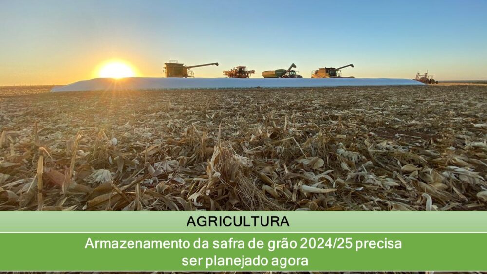 Armazenamento da safra de grão 2024/25 precisa ser planejado agora